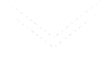 Newsletter Icon